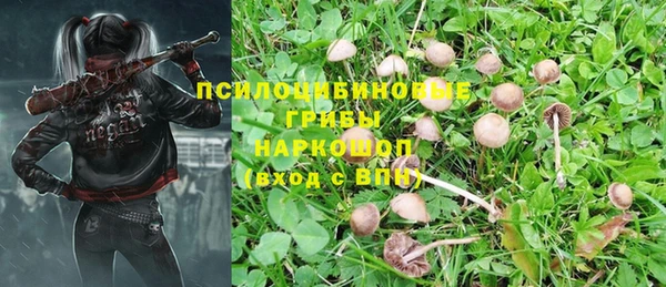 дмт Абинск