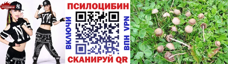 Псилоцибиновые грибы MAGIC MUSHROOMS Константиновск