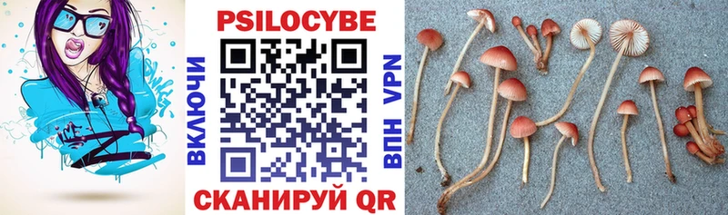 сколько стоит Константиновск Галлюциногенные грибы Cubensis